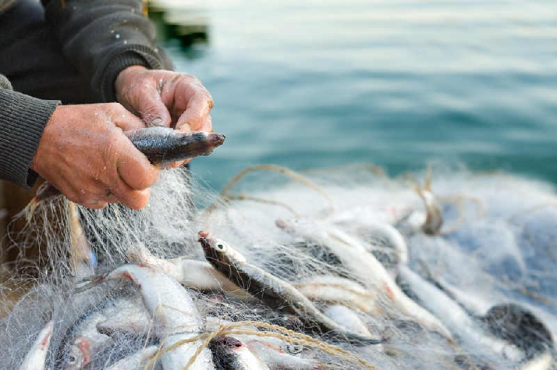 На запорожском курорте браконьер наловил рыбы почти на 100 тыс. гривен
