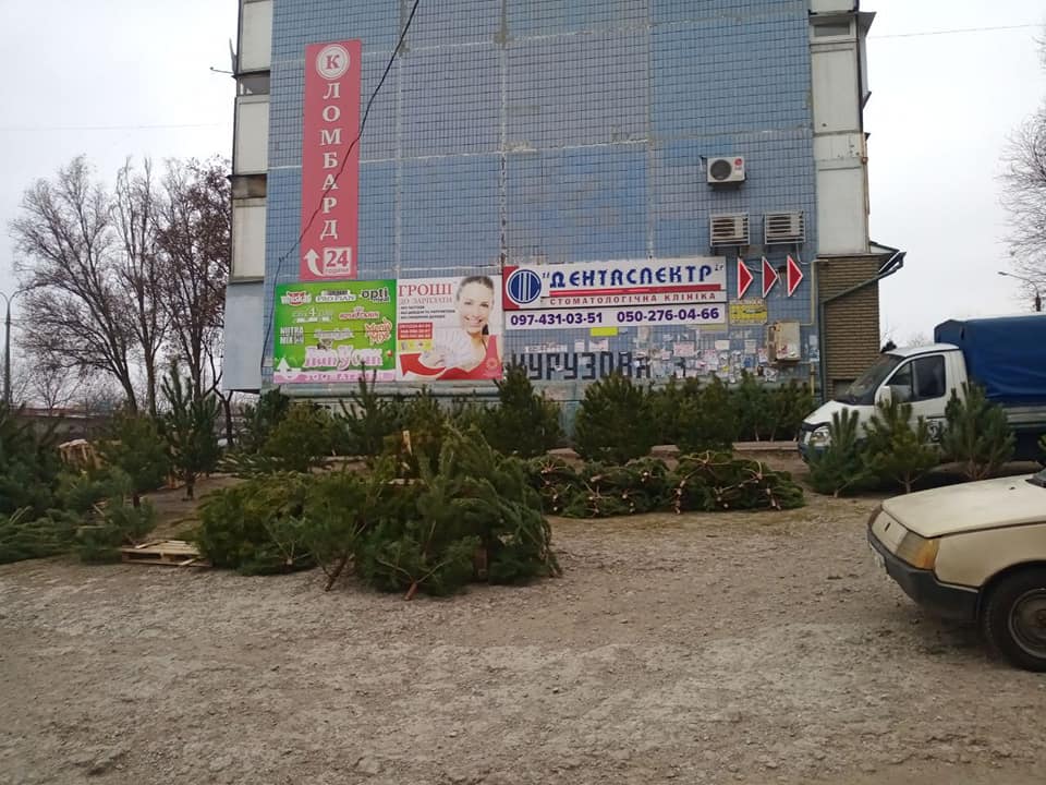 В Запорожье снова продавали незаконно срубленные елки (ФОТО)