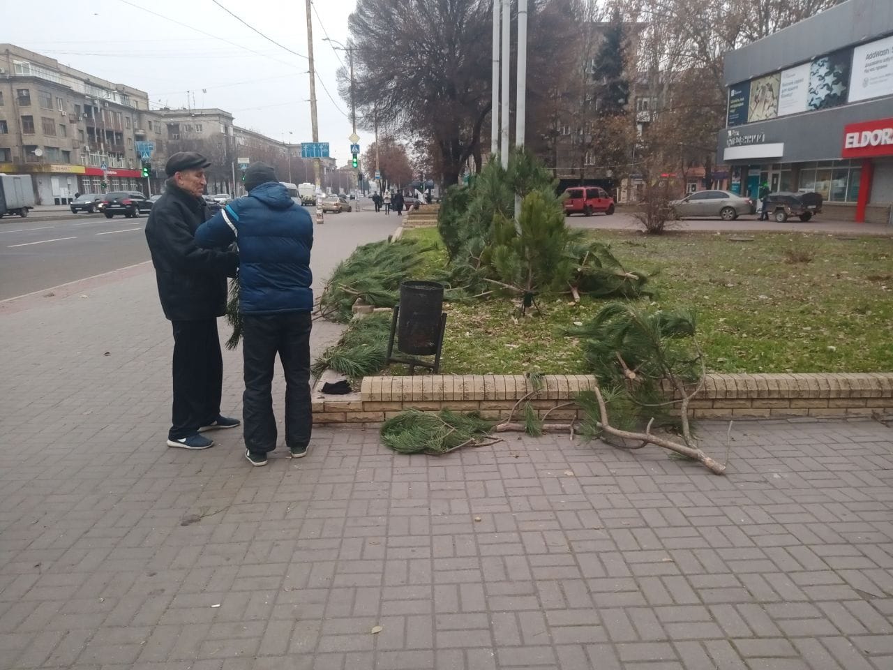 В Запорожье мужчина торговал незаконно срубленными елками прямо возле главного проспекта (ФОТО)