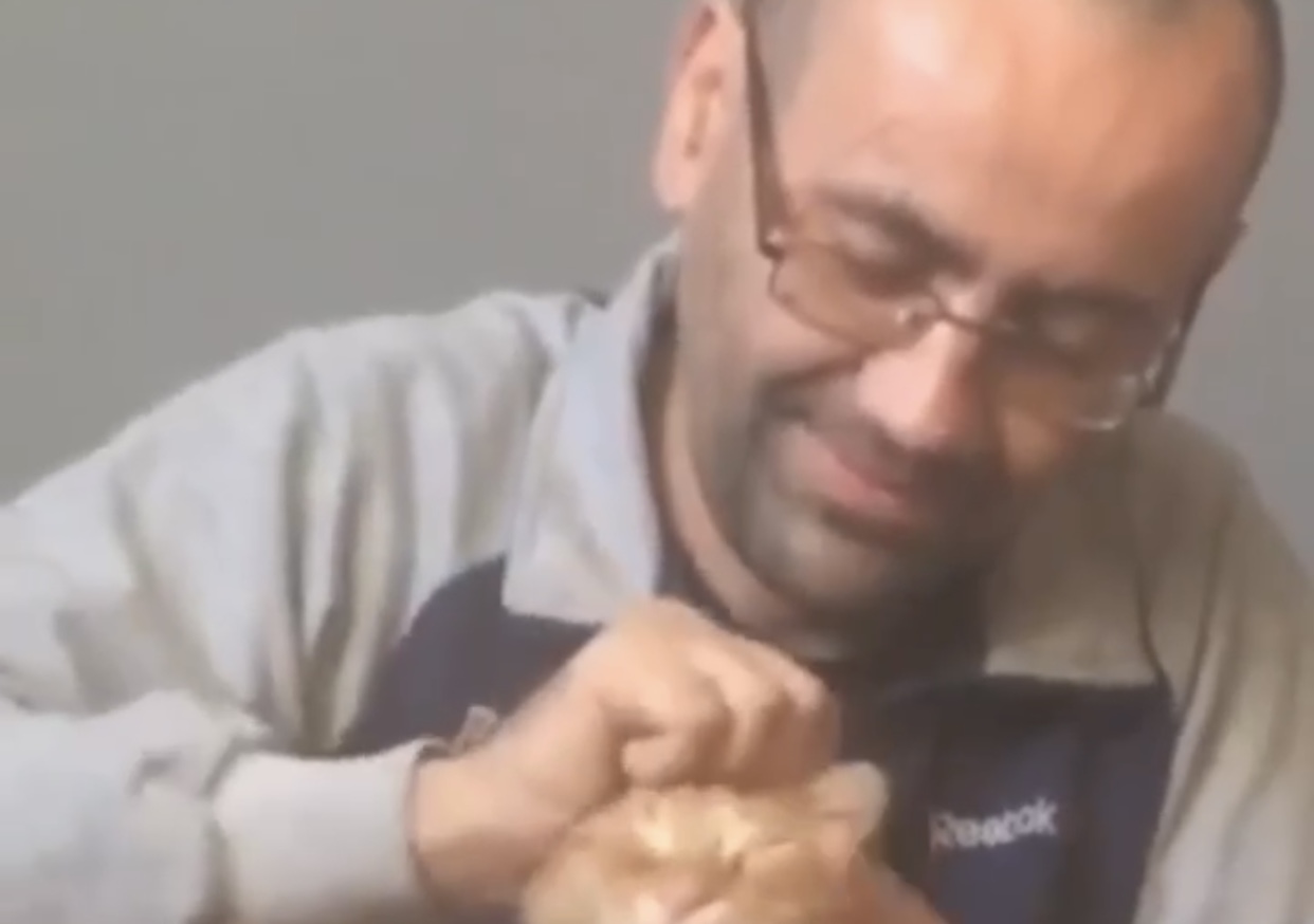 Личность живодера, издевавшегося над котом в Мелитополе, установлена