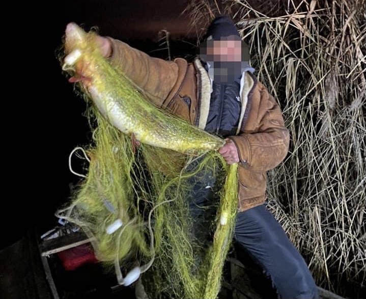 Под Запорожьем нашли 1500 метров сетей с живой рыбой: активисты задержали браконьеров на «горячем» (ФОТО, ВИДЕО)