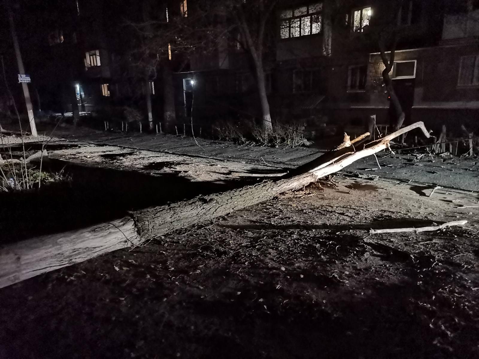 Штормовой ветер на запорожском курорте повалил деревья (ФОТО)