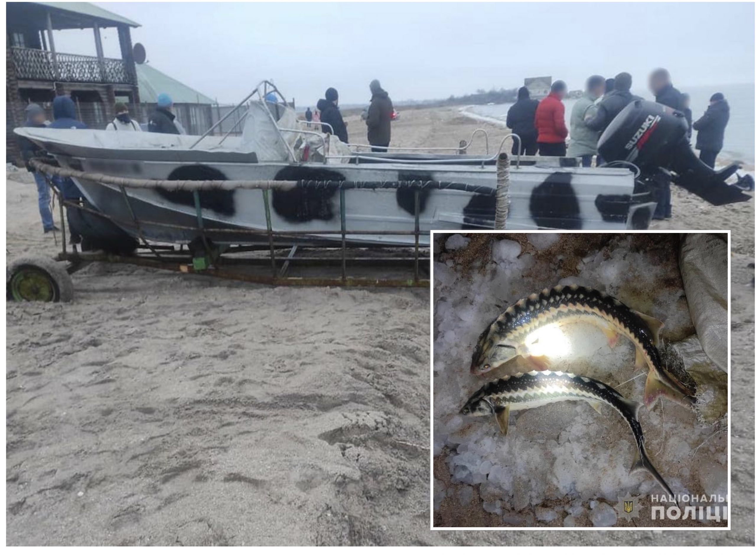 В Бердянске двух браконьеров задержали на вылове краснокнижной рыбы (ФОТО)
