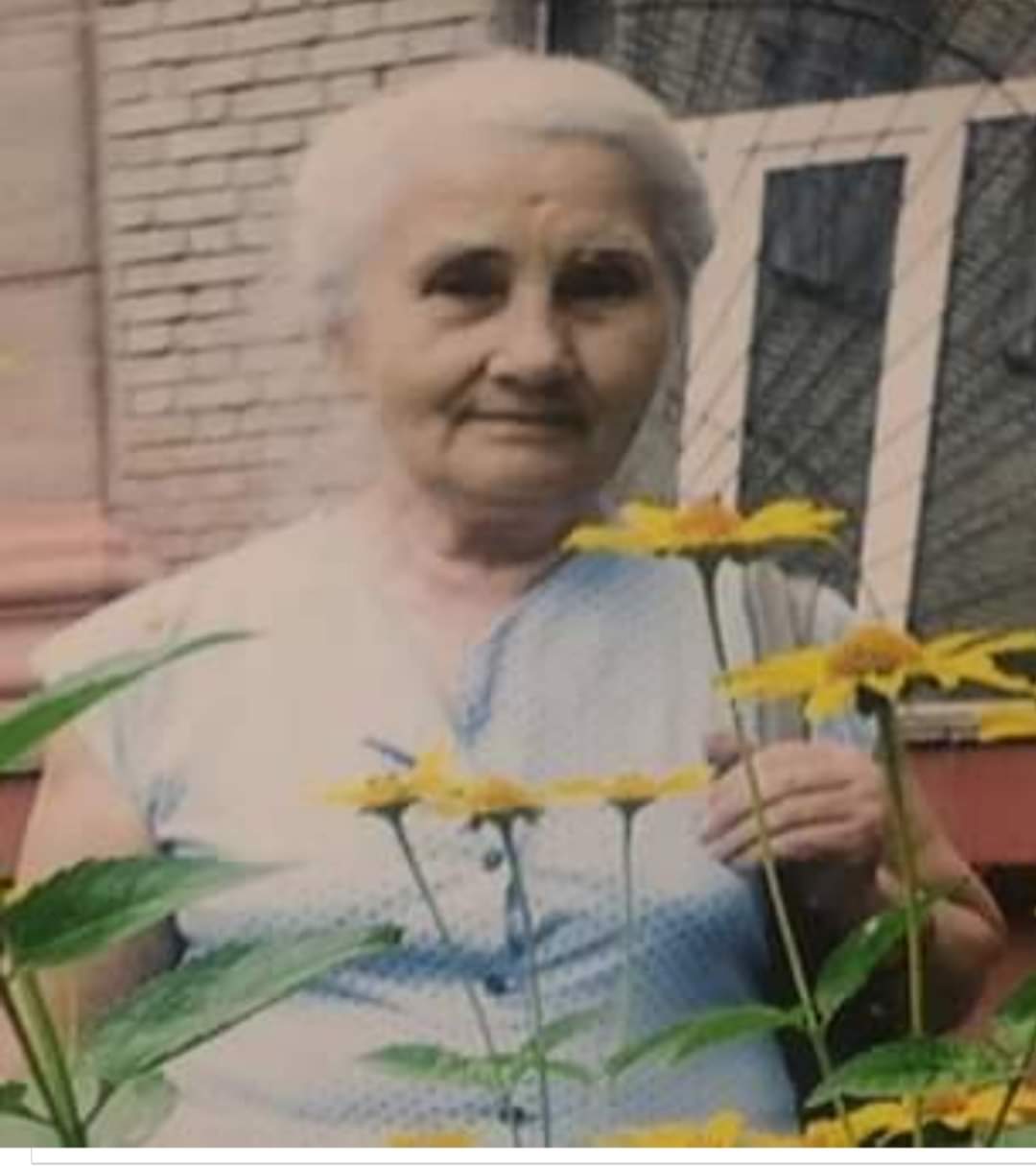 В Запорожье остановлены поиски пропавшей 84-летней женщины