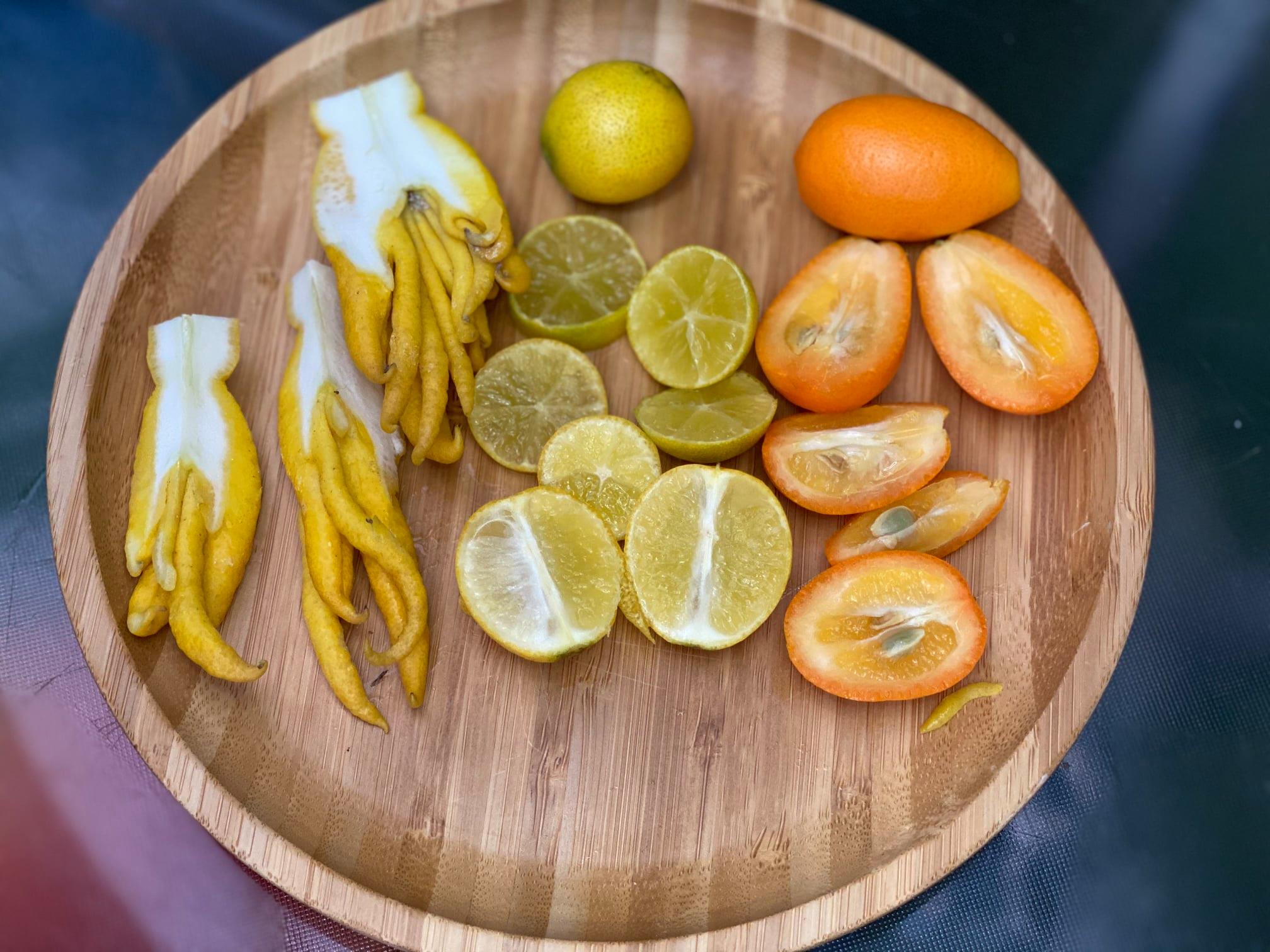 Запорожанка вырастила в своей теплице необычный цитрусовый фрукт (ФОТО)