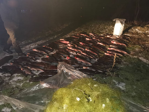 Под Запорожьем браконьер выловил 350 килограмм рыбы (ФОТО)