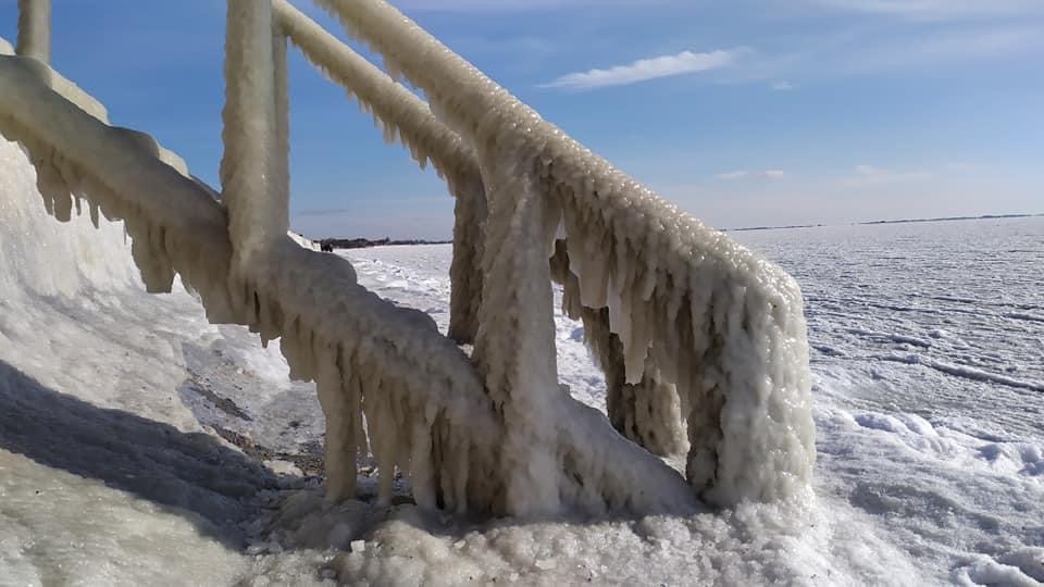 Побережье Азовского моря сковал лёд. Местные жители сообщают о погибших лебедях, чайках и бакланах (ФОТО)