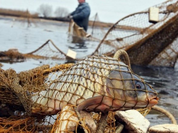 Под Запорожьем обнаружили рыбаков, которые незаконно ловили рыбу (ФОТО)