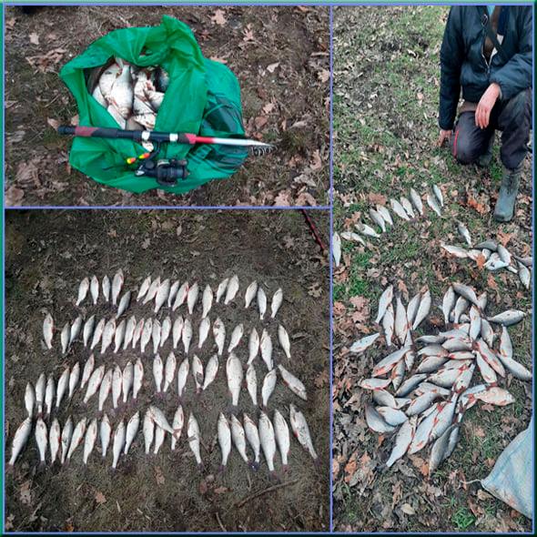 В Запорожье рыбаки незаконно наловили рыбы почти на 12 тыс.гривен