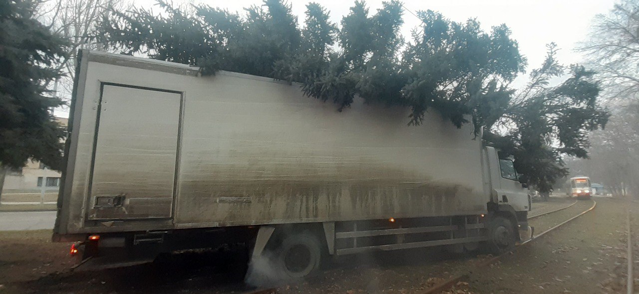 В Запорожье водитель грузовика потерял сознание за рулем и снес дерево (ФОТО)