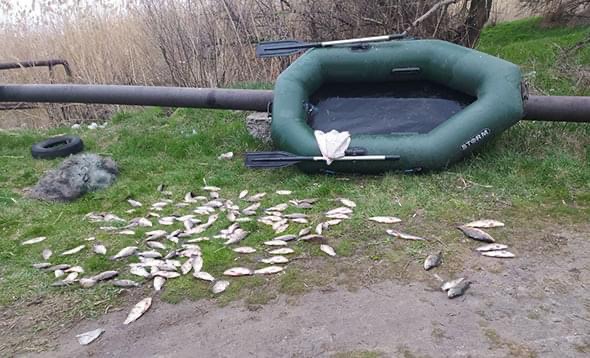 В Запорожском районе мужчина сетями наловил более 20 кг рыбы