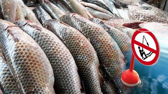 Запорожской водной полицией задокументирован факт грубого нарушения правил рыболовства (ФОТО)