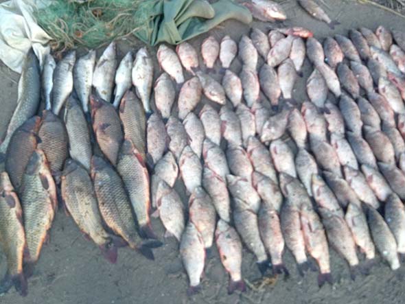 Под Запорожьем мужчина наловил 80 килограммов рыбы почти на 8 тысяч гривен ущерба (ФОТО)