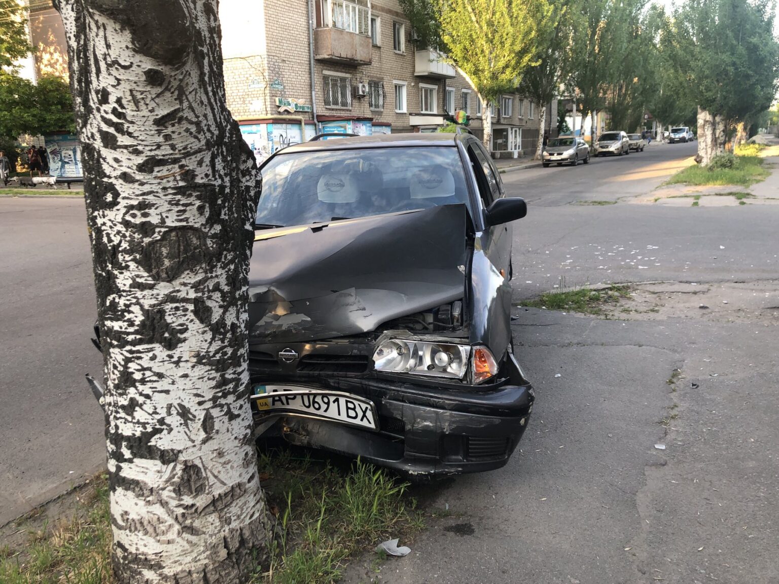 В Запорожской области столкнулись два Nissan: один из них врезался в дерево