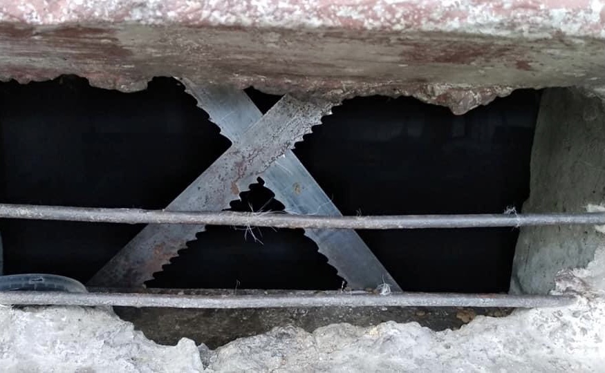 В Запорожье железными пилами закрыли вход в вентиляционные окна в подвал: коты травмируются (ФОТО)