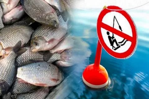 В Запорожской области изъяли более тонны незаконно выловленной рыбы (ФОТО)