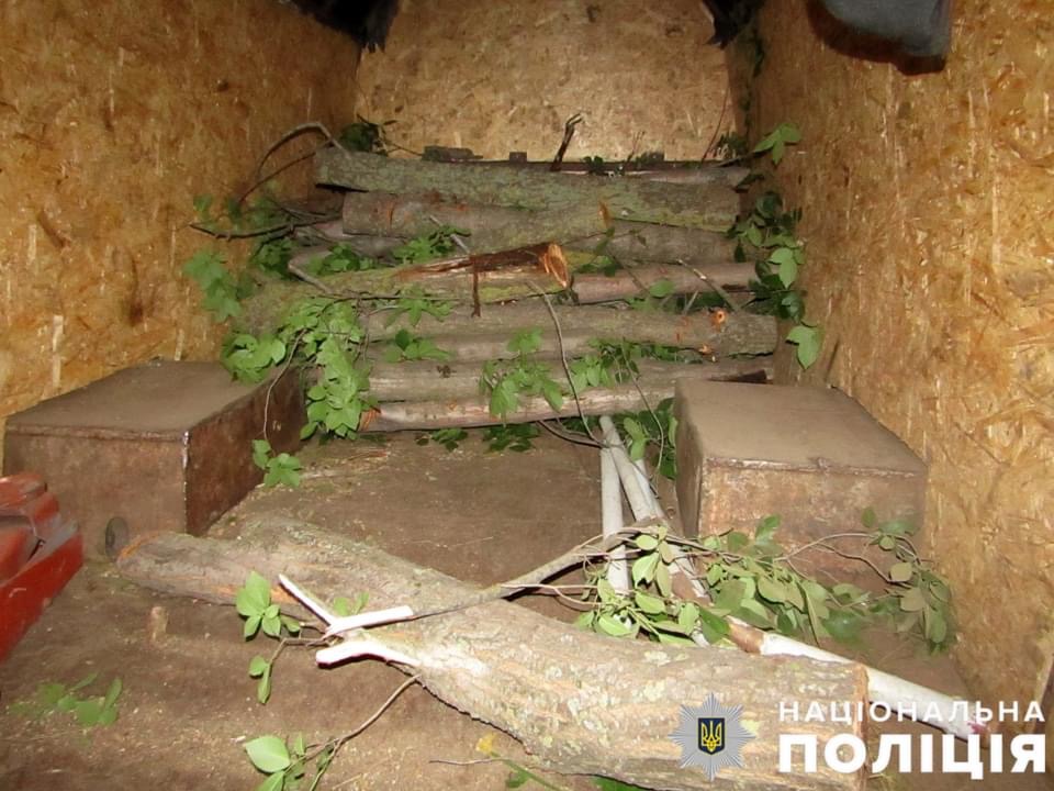 Житель Запорожской области под наркотиками занимался незаконной вырубкой деревьев в лесополосе (ФОТО)