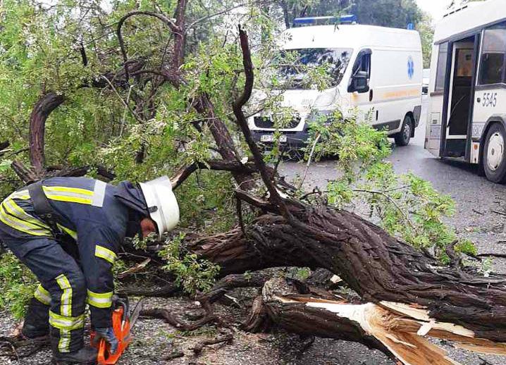 В Запорожье 10 спасателей ликвидировали последствия ДТП, где автобус врезался в дерево (ФОТО)