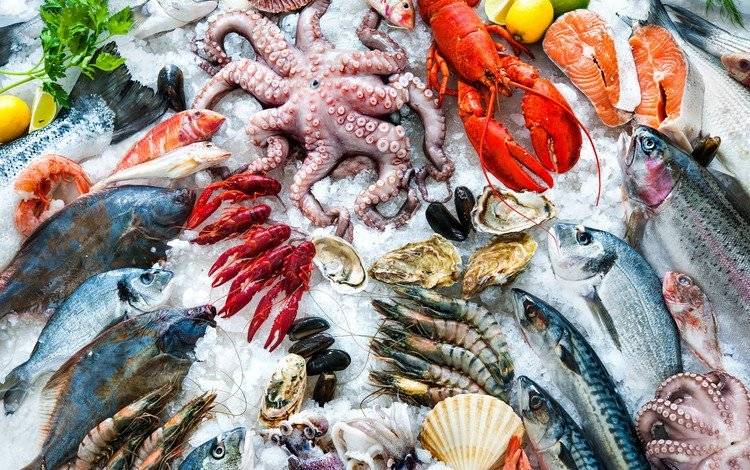 Псевдо-производители морепродуктов в Запорожье пытались обмануть государство на 48 млн грн: раскрыта схема