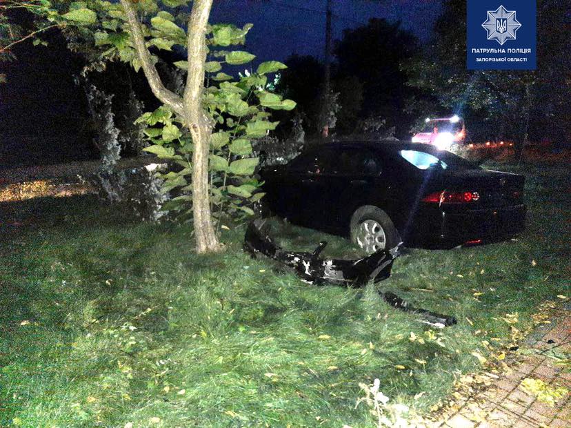 В центре Запорожья пьяный водитель влетел в дерево (ФОТО)