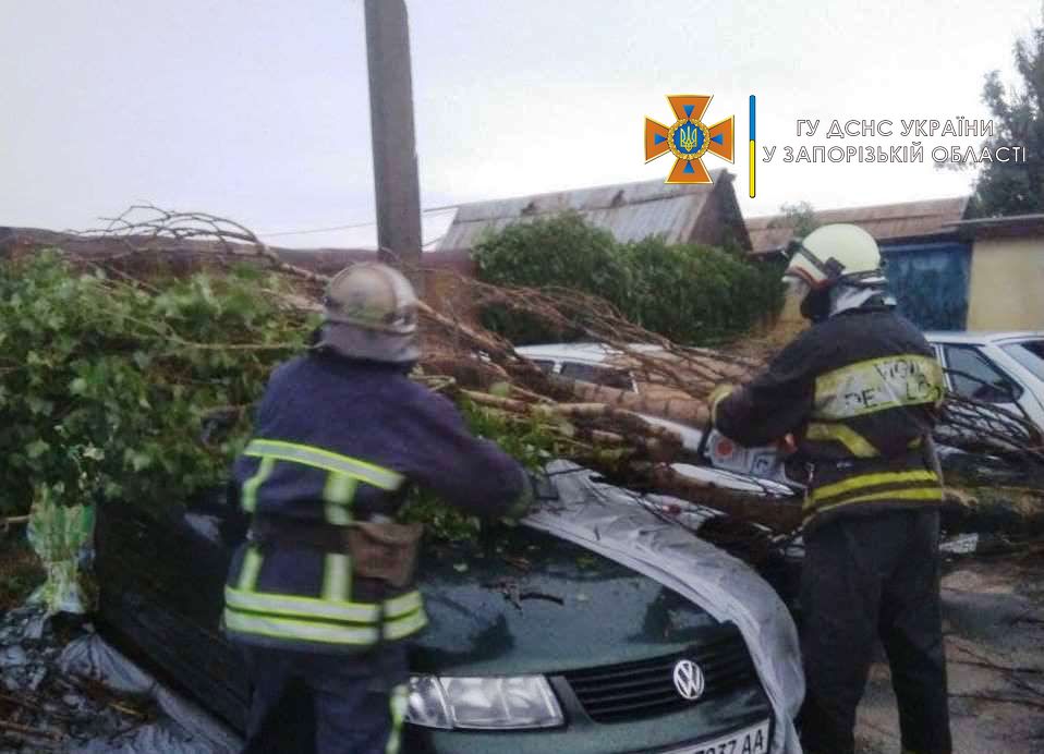 Непогода в Бердянске: на авто и электроопору рухнули деревья (ФОТО)