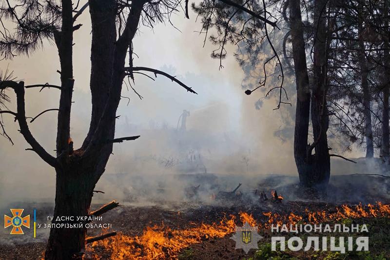 Запорожская Хортица – спасена:  в заповеднике пожар тушило 12 машин и 65 спасателей (ФОТО)