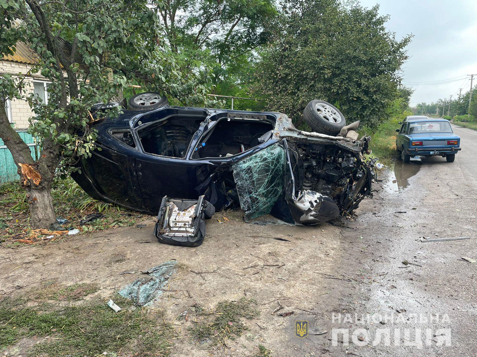 В Запорожской области пьяный 20-летний водитель совершил смертельное ДТП: разыскиваются очевидцы