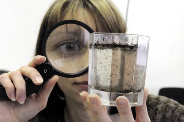 Неприятный запах, ужасный вкус и привкус: в ста процентах проб питьевой воды со всех районах Запорожья выявлены отклонения от норм