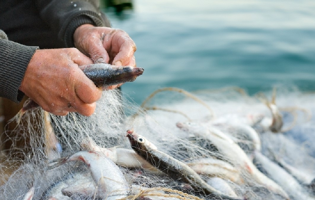 В Запорожской области в результате рыбоохранного рейда обнаружено 14 нарушений в сфере рыболовства (ВИДЕО)