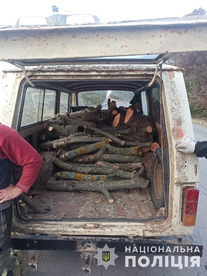 В лесополосе в Запорожской области задержали мужчину, который пилил деревья акации (ФОТО)