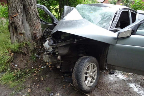 В Запорожской области автоледи на мосту врезалась в дерево