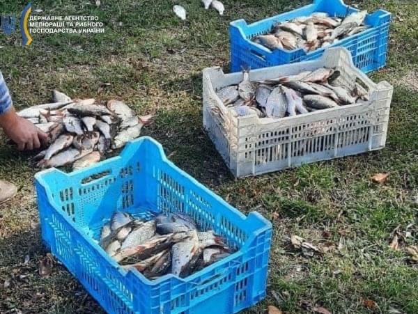 Сом – 5117 грн, щука – 3468 грн, окунь – 3162 грн: запорожские рыбаки за незаконный вылов будут платить больше