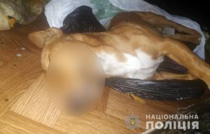 В Бердянске пьяный мужчина на глазах у детей застрелил их собаку