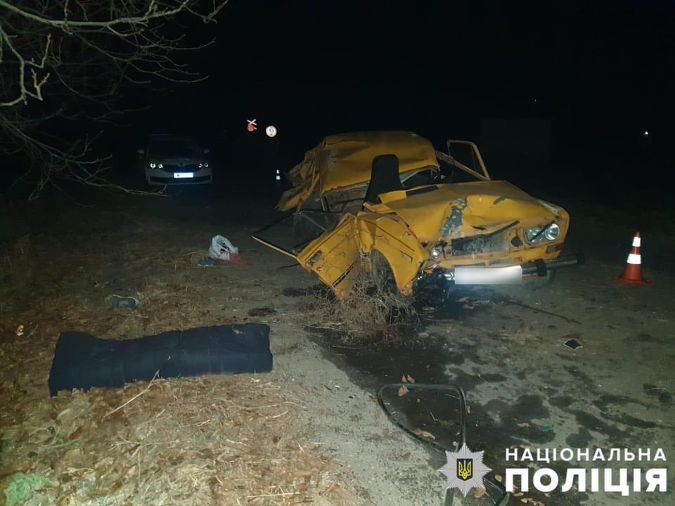 В Запорожской области автоледи врезалась в дерево: трое пострадавших (ФОТО)