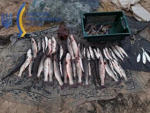 Бычок, сельдь, калкан: в Бердянском заливе браконьеры наловили рыбы на 196 тысяч гривен (ФОТО)