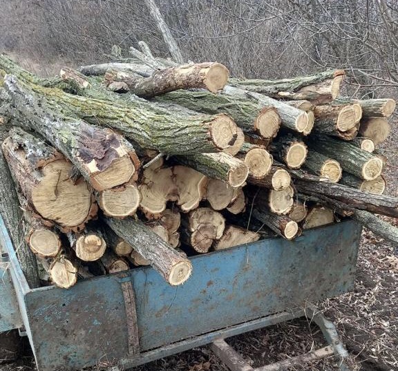 В лесополосе в Бердянском районе обнаружили троих мужчин с полным прицепом древесины (ФОТО)