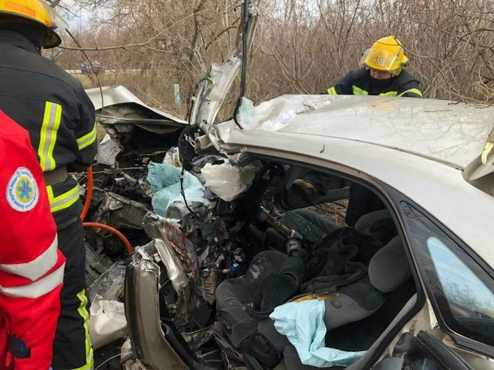 В Запорожской области автомобиль вылетел в кювет и врезался в дерево: водителя деблокировали спасатели (ФОТО)