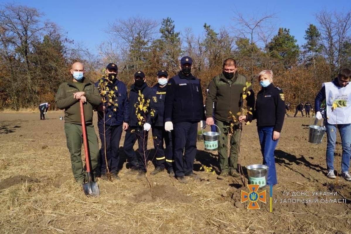 В Запорожской области высадили аллею в честь защитников и защитниц Украины (ФОТО)