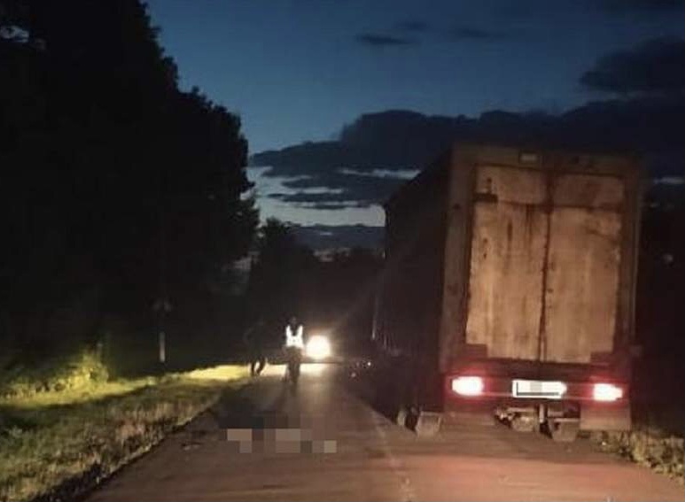 На трассе в Запорожской области грузовик сбил насмерть мужчину