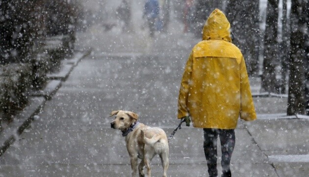 Дождь, снег, гололёд: в Запорожской области прогнозируют усложнение погодных условий