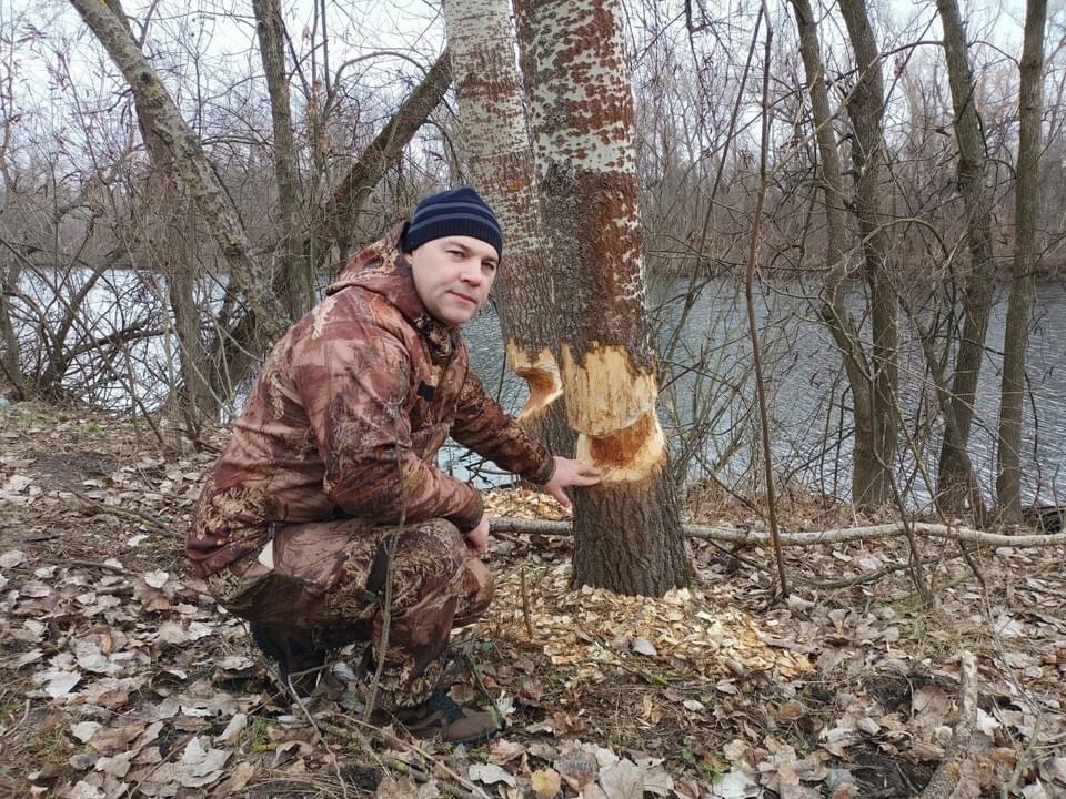 Бобры на запорожской Хортице: учёные начали полевые исследования территории (ФОТО)
