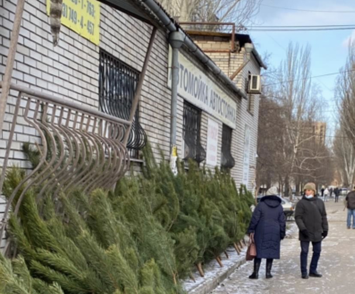 В Запорожье выявили нелегальную точку продажи елок (ФОТО)
