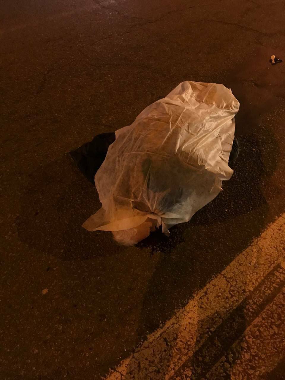 В Запорожье иномарка насмерть сбила пешехода (фото)
