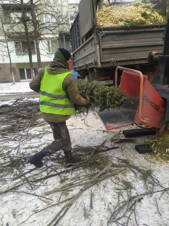 В Запорожье начали утилизировать елки (ФОТО)