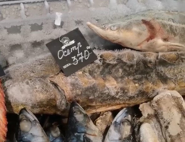 На рынках в Запорожской области продавали краснокнижную рыбу (ФОТО)