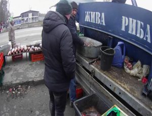 В Запорожской области на рынке продавали краснокнижную рыбу (фото)