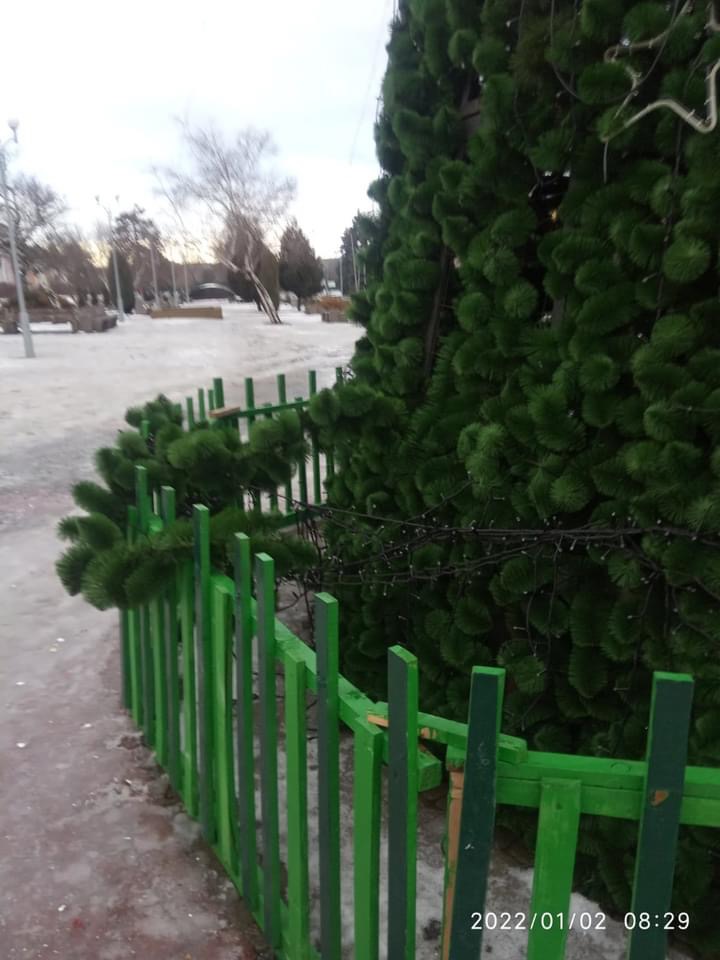 В Запорожской области вандалы сорвали гирлянду и повредили ёлку 