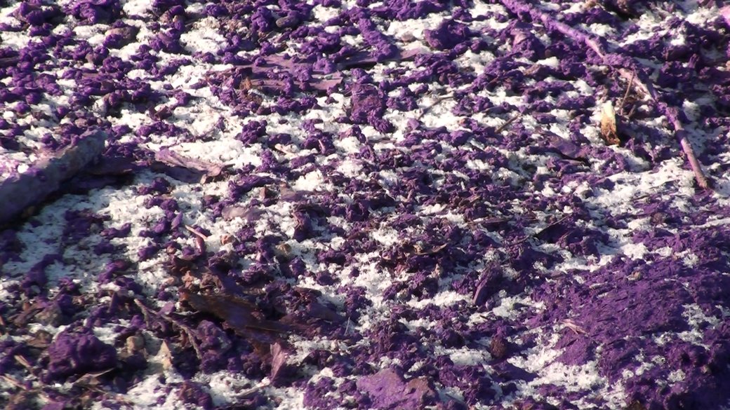 Фиолетовые пятна и резкий запах: на Хортице мешки с химическими отходами исчезли, будет работать комиссия Госэкоинспекции (ФОТО)