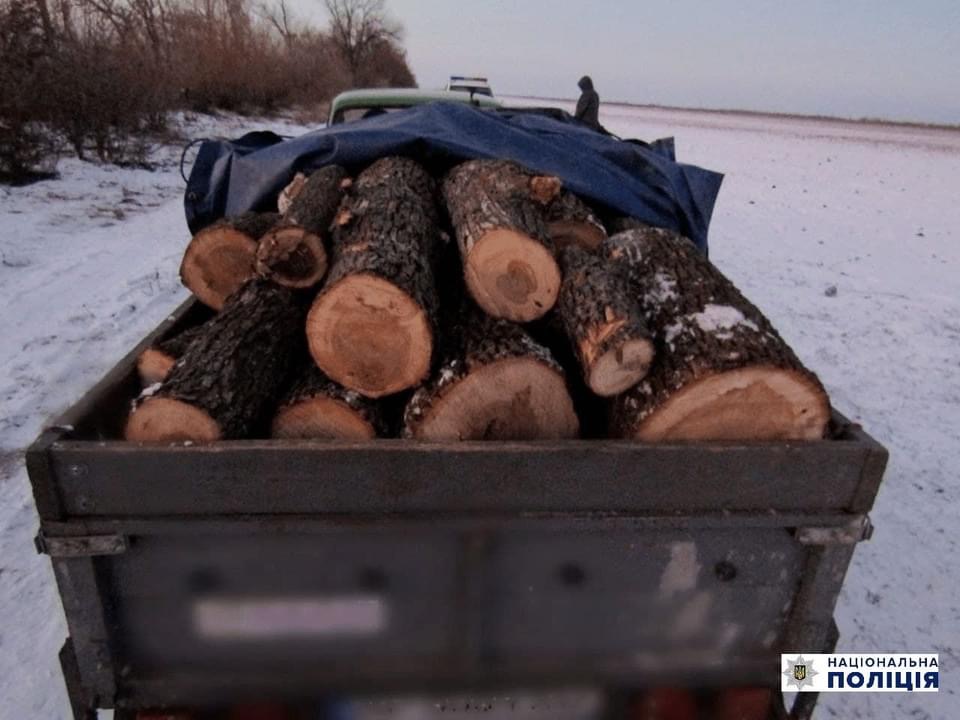 В Запорожской области мужчина незаконно напилил прицеп дров (ФОТО)