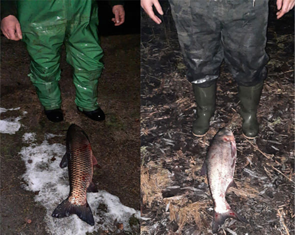 В Запорожской области браконьер дважды за сутки «поймал» протокол за незаконную рыбалку